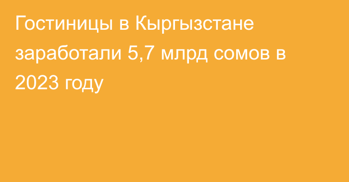 Гостиницы в Кыргызстане заработали 5,7 млрд сомов в 2023 году