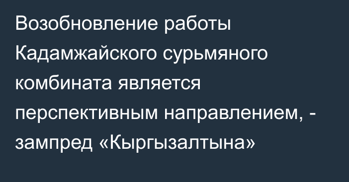 Возобновление работы Кадамжайского сурьмяного комбината является перспективным направлением, - зампред «Кыргызалтына»