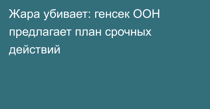 Жара убивает: генсек ООН предлагает план срочных действий