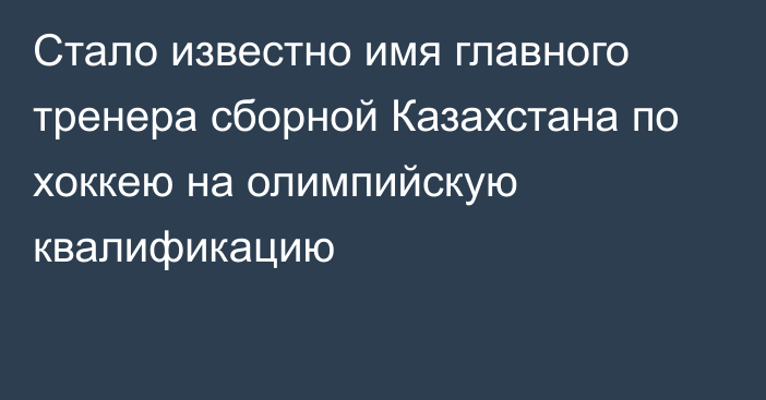 Стало известно имя главного тренера сборной Казахстана по хоккею на олимпийскую квалификацию