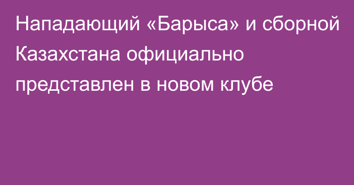 Нападающий «Барыса» и сборной Казахстана официально представлен в новом клубе