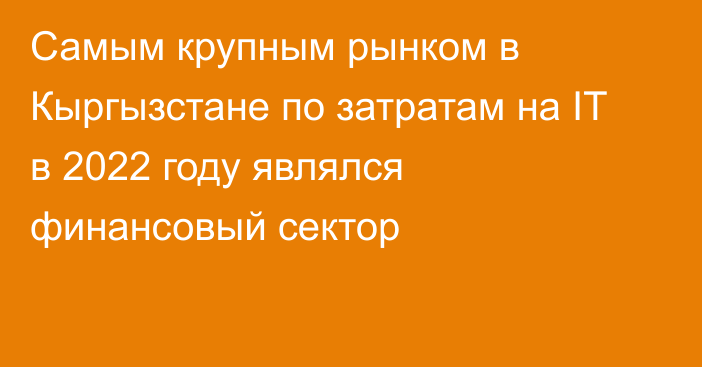 Самым крупным рынком в Кыргызстане по затратам на IT в 2022 году являлся финансовый сектор