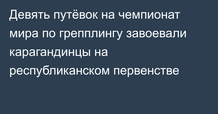 Девять путёвок на чемпионат мира по грепплингу завоевали карагандинцы на республиканском первенстве