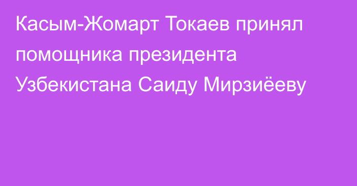 Касым-Жомарт Токаев принял помощника президента Узбекистана Саиду Мирзиёеву