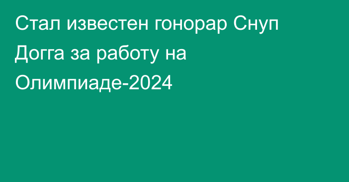 Стал известен гонорар Снуп Догга за работу на Олимпиаде-2024