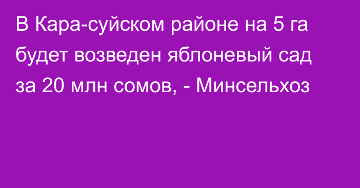 В Кара-суйском районе на 5 га будет возведен яблоневый сад за 20 млн сомов, - Минсельхоз