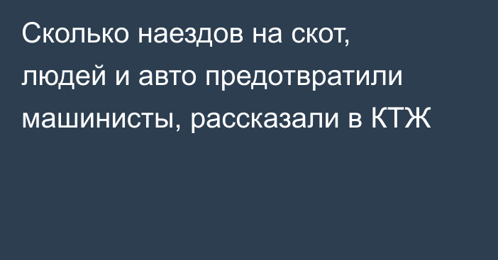 Сколько наездов на скот, людей и авто предотвратили машинисты, рассказали в КТЖ