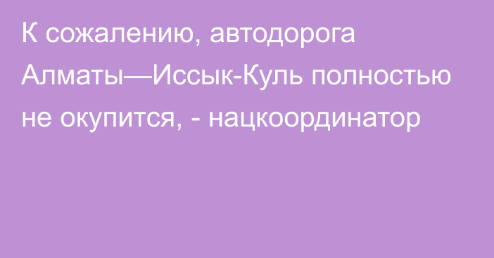 К сожалению, автодорога Алматы—Иссык-Куль полностью не окупится, - нацкоординатор