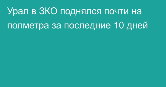 Урал в ЗКО поднялся почти на полметра за последние 10 дней