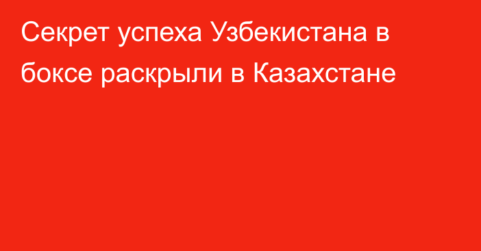 Секрет успеха Узбекистана в боксе раскрыли в Казахстане