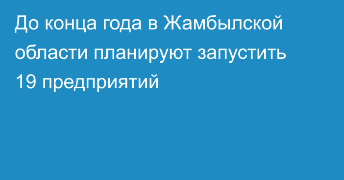 До конца года в Жамбылской области планируют запустить 19 предприятий