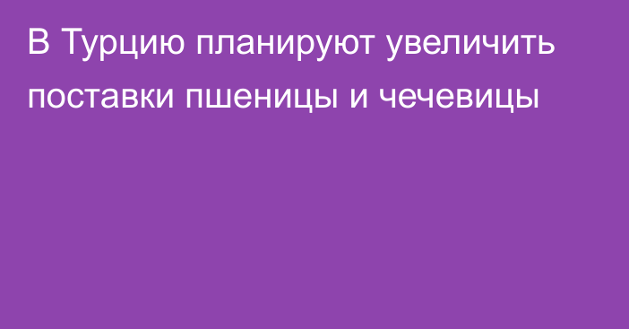 В Турцию планируют увеличить поставки пшеницы и чечевицы