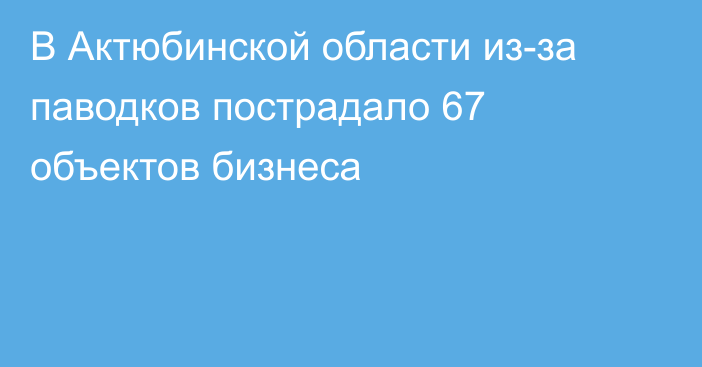 В Актюбинской области из-за паводков пострадало 67 объектов бизнеса