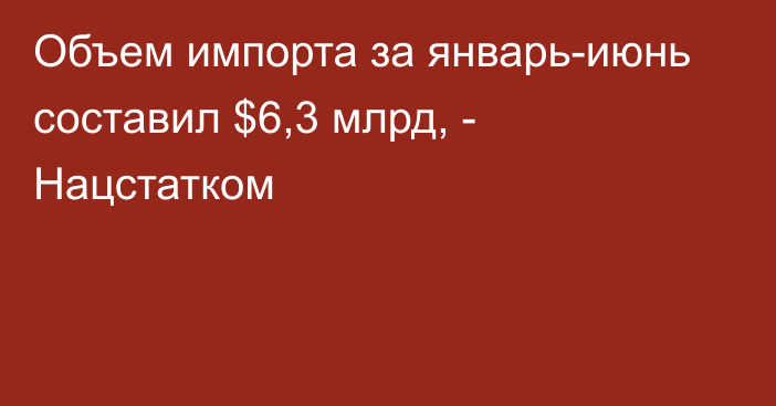 Объем импорта за январь-июнь составил $6,3 млрд, - Нацстатком