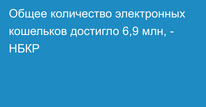 Общее количество электронных кошельков достигло 6,9 млн, - НБКР