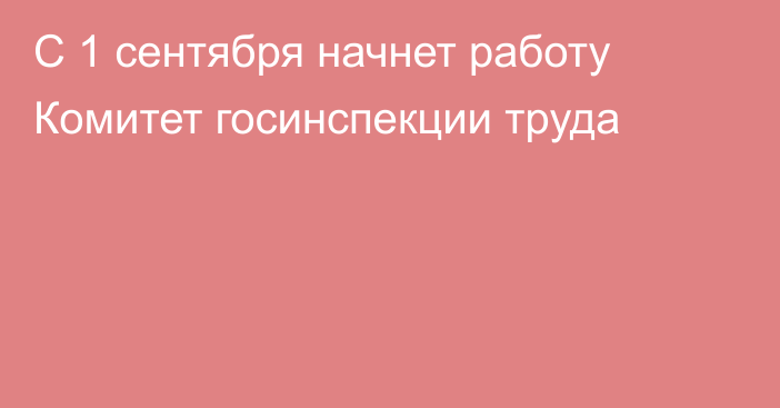 С 1 сентября начнет работу Комитет госинспекции труда