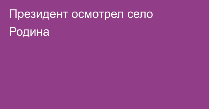 Президент осмотрел село Родина