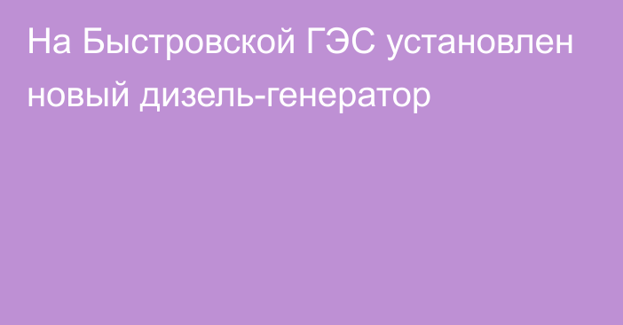 На Быстровской ГЭС установлен новый дизель-генератор