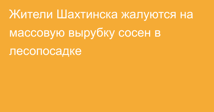 Жители Шахтинска жалуются на массовую вырубку сосен в лесопосадке