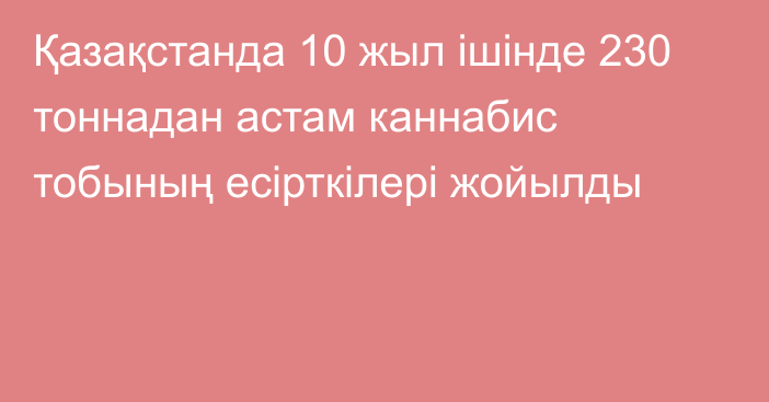 Қазақстанда 10 жыл ішінде 230 тоннадан астам каннабис тобының есірткілері жойылды