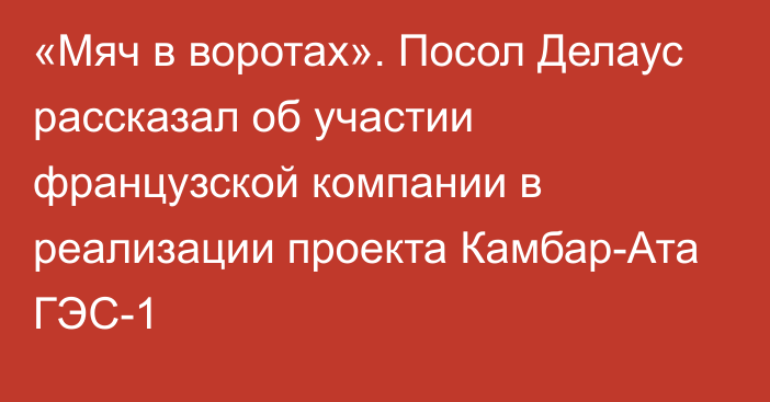 «Мяч в воротах». Посол Делаус рассказал об участии французской компании в реализации проекта Камбар-Ата ГЭС-1