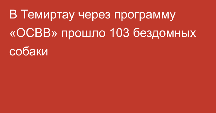 В Темиртау через программу «ОСВВ» прошло 103 бездомных собаки