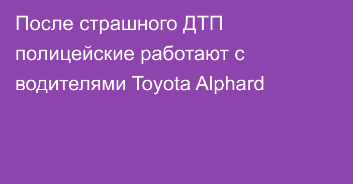 После страшного ДТП полицейские работают с водителями Toyota Alphard