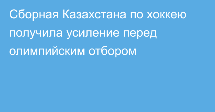 Сборная Казахстана по хоккею получила усиление перед олимпийским отбором