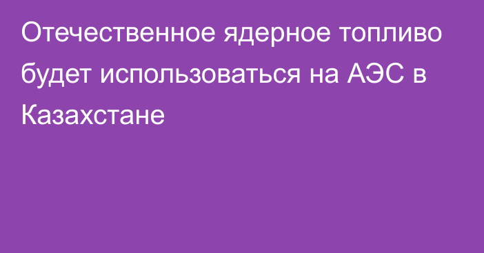 Отечественное ядерное топливо будет использоваться на АЭС в Казахстане