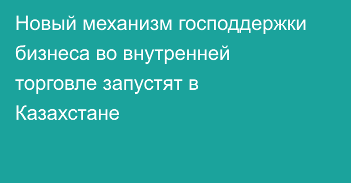 Новый механизм господдержки бизнеса во внутренней торговле запустят в Казахстане