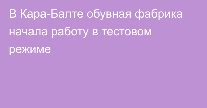 В Кара-Балте обувная фабрика начала работу в тестовом режиме