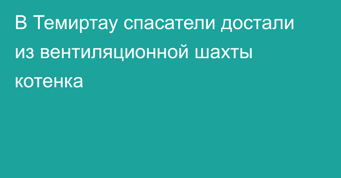 В Темиртау спасатели достали из вентиляционной шахты котенка