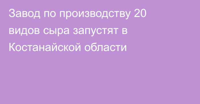 Завод по производству 20 видов сыра запустят в Костанайской области