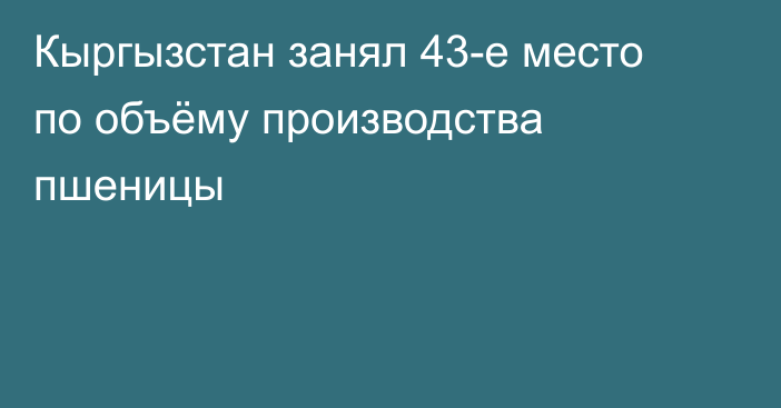 Кыргызстан занял 43-е место по объёму производства пшеницы