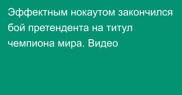 Эффектным нокаутом закончился бой претендента на титул чемпиона мира. Видео