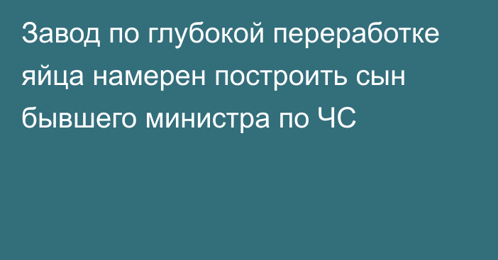 Завод по глубокой переработке яйца намерен построить сын бывшего министра по ЧС