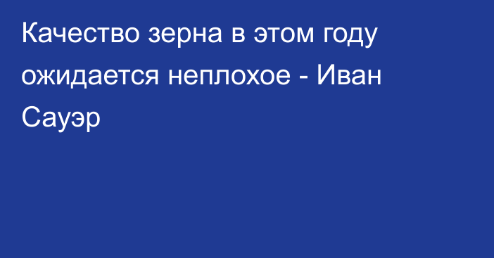 Качество зерна в этом году ожидается неплохое - Иван Сауэр