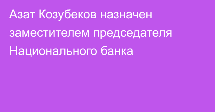 Азат Козубеков назначен заместителем председателя Национального банка