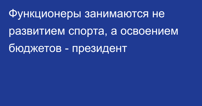 Функционеры занимаются не развитием спорта, а освоением бюджетов - президент