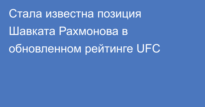 Стала известна позиция Шавката Рахмонова в обновленном рейтинге UFC