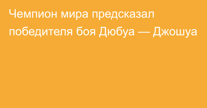 Чемпион мира предсказал победителя боя Дюбуа — Джошуа