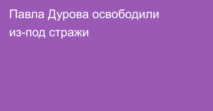 Павла Дурова освободили из-под стражи