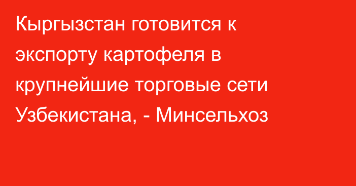 Кыргызстан готовится к экспорту картофеля в крупнейшие торговые сети Узбекистана, - Минсельхоз