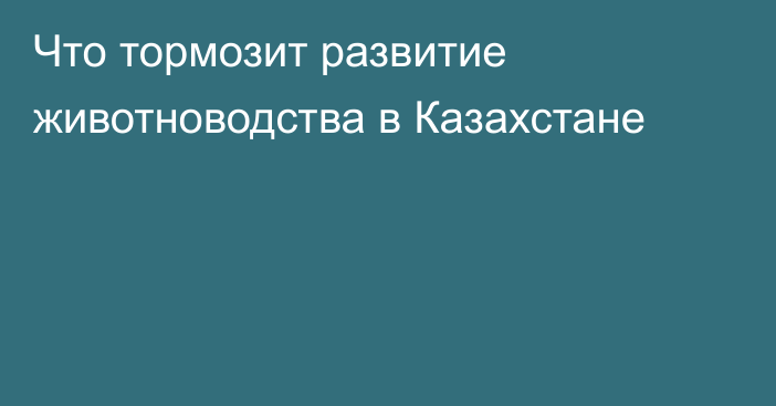 Что тормозит развитие животноводства в Казахстане