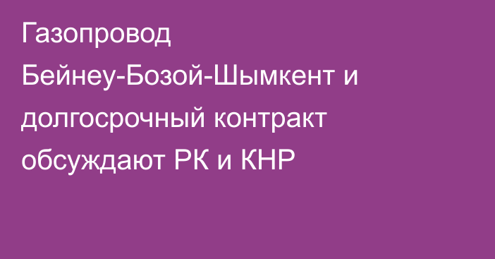 Газопровод Бейнеу-Бозой-Шымкент  и долгосрочный контракт обсуждают РК и КНР