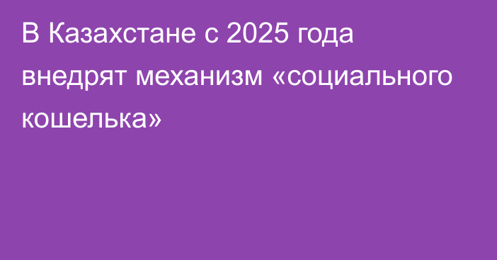 В Казахстане с 2025 года внедрят механизм «социального кошелька»