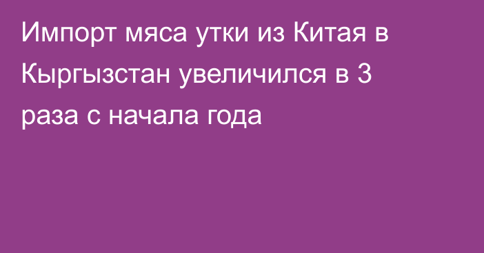 Импорт мяса утки из Китая в Кыргызстан увеличился в 3 раза с начала года