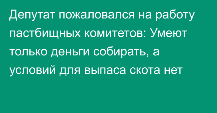 Депутат пожаловался на работу пастбищных комитетов: Умеют только деньги собирать, а условий для выпаса скота нет