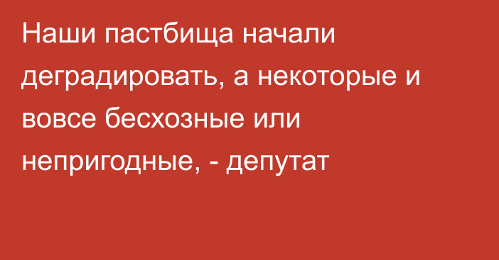 Наши пастбища начали деградировать, а некоторые и вовсе бесхозные или непригодные, - депутат