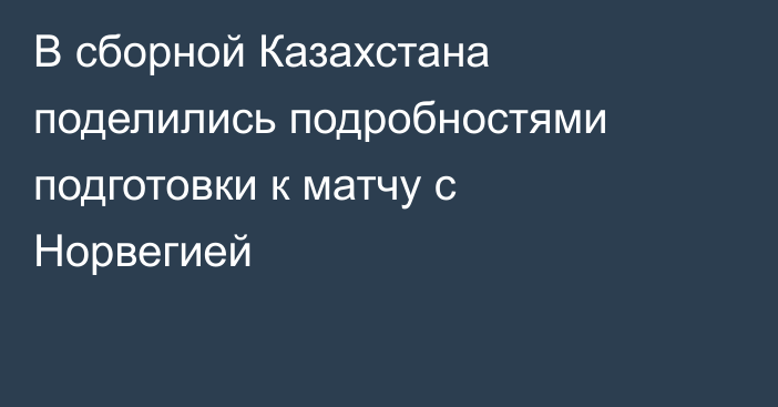 В сборной Казахстана поделились подробностями подготовки к матчу с Норвегией